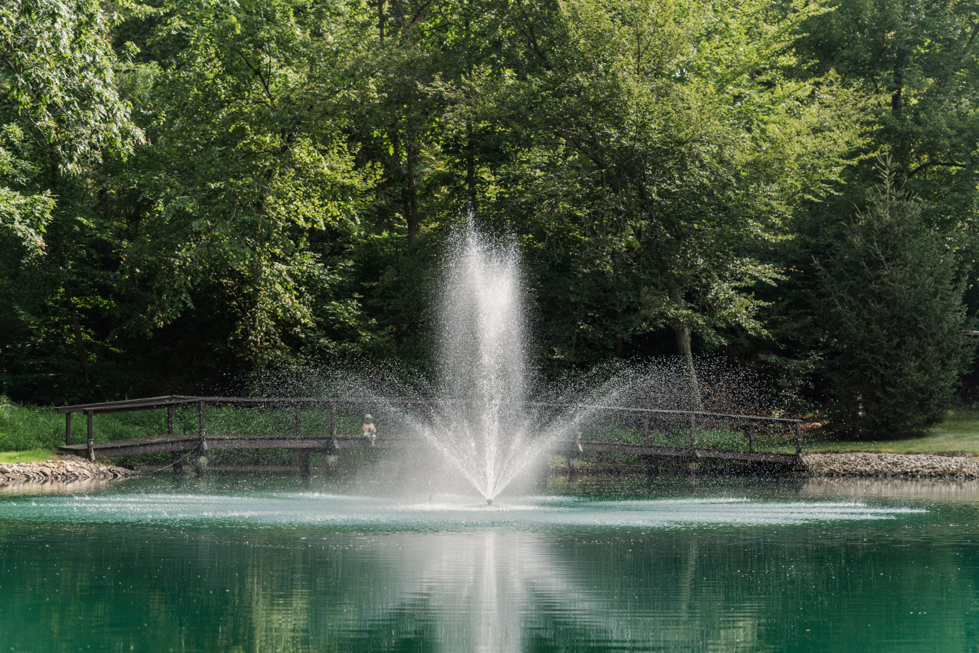 RHP 6626 Series Pond Fountain - Image 2