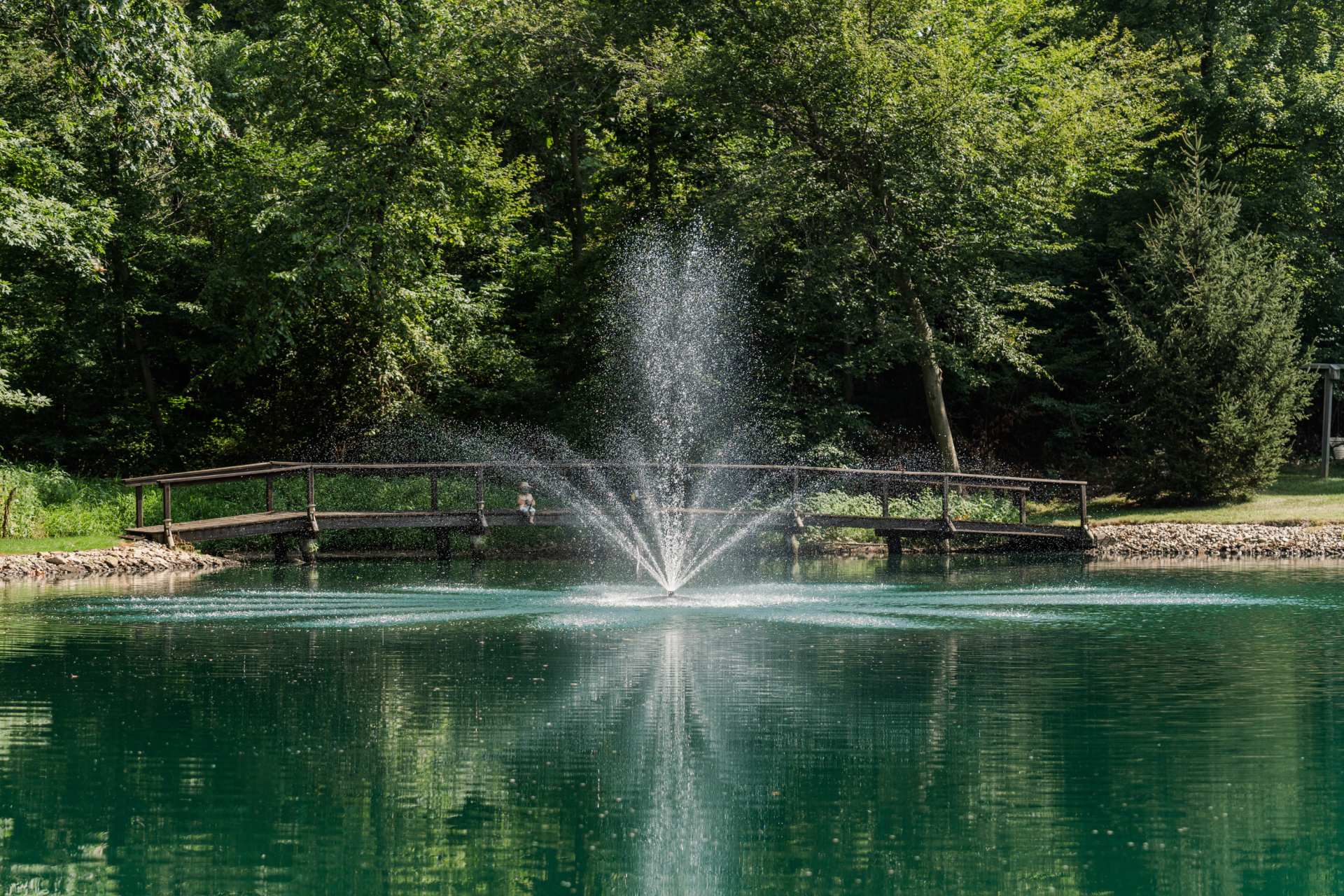 RHP 6026 Series Pond Fountain - Image 2