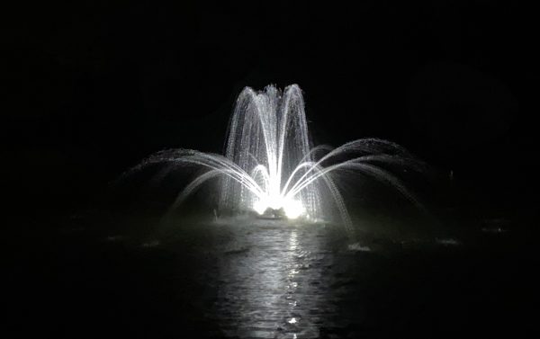 2618 Stream Trumpet Geyser