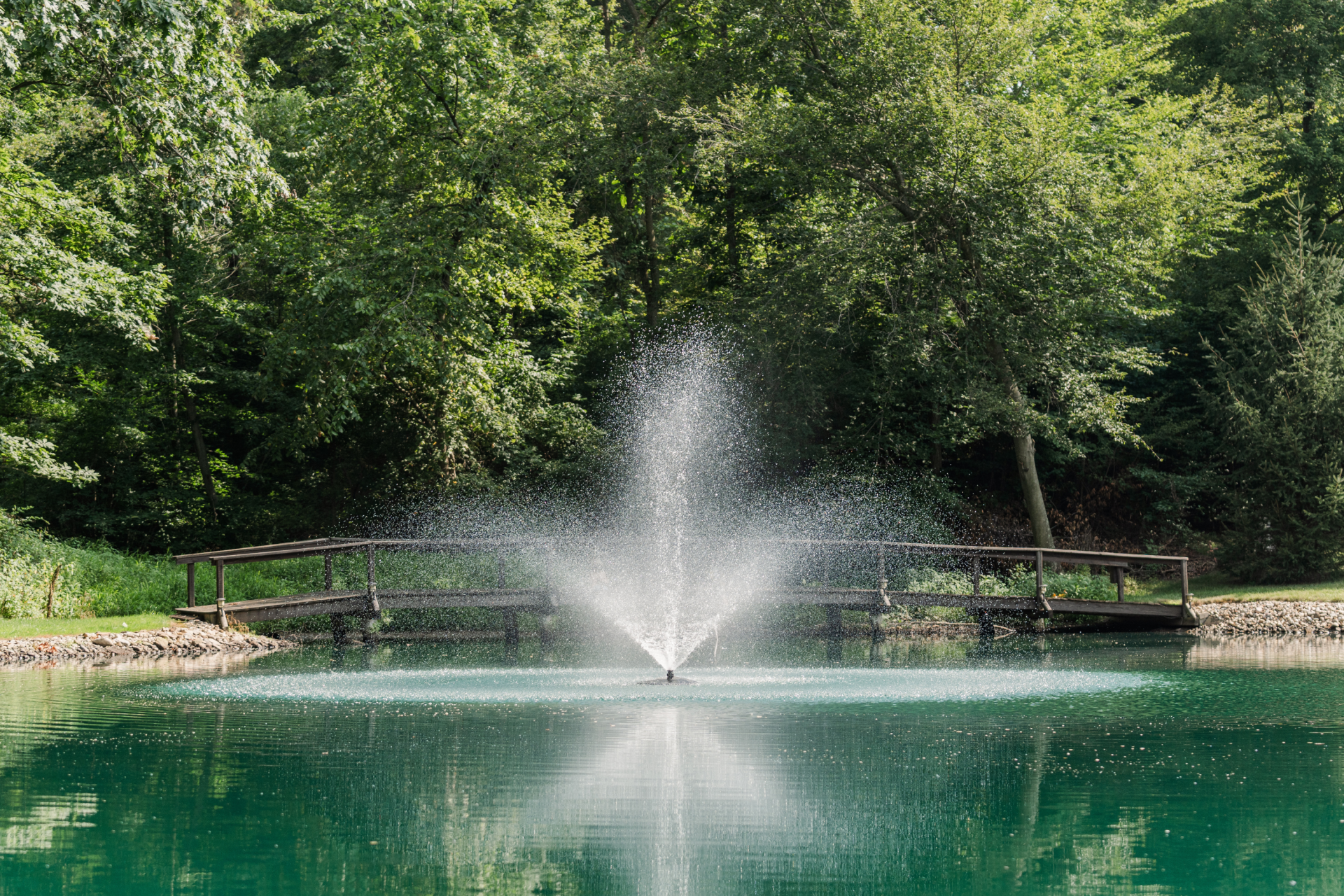 RHP 6626 Series Pond Fountain - Image 3