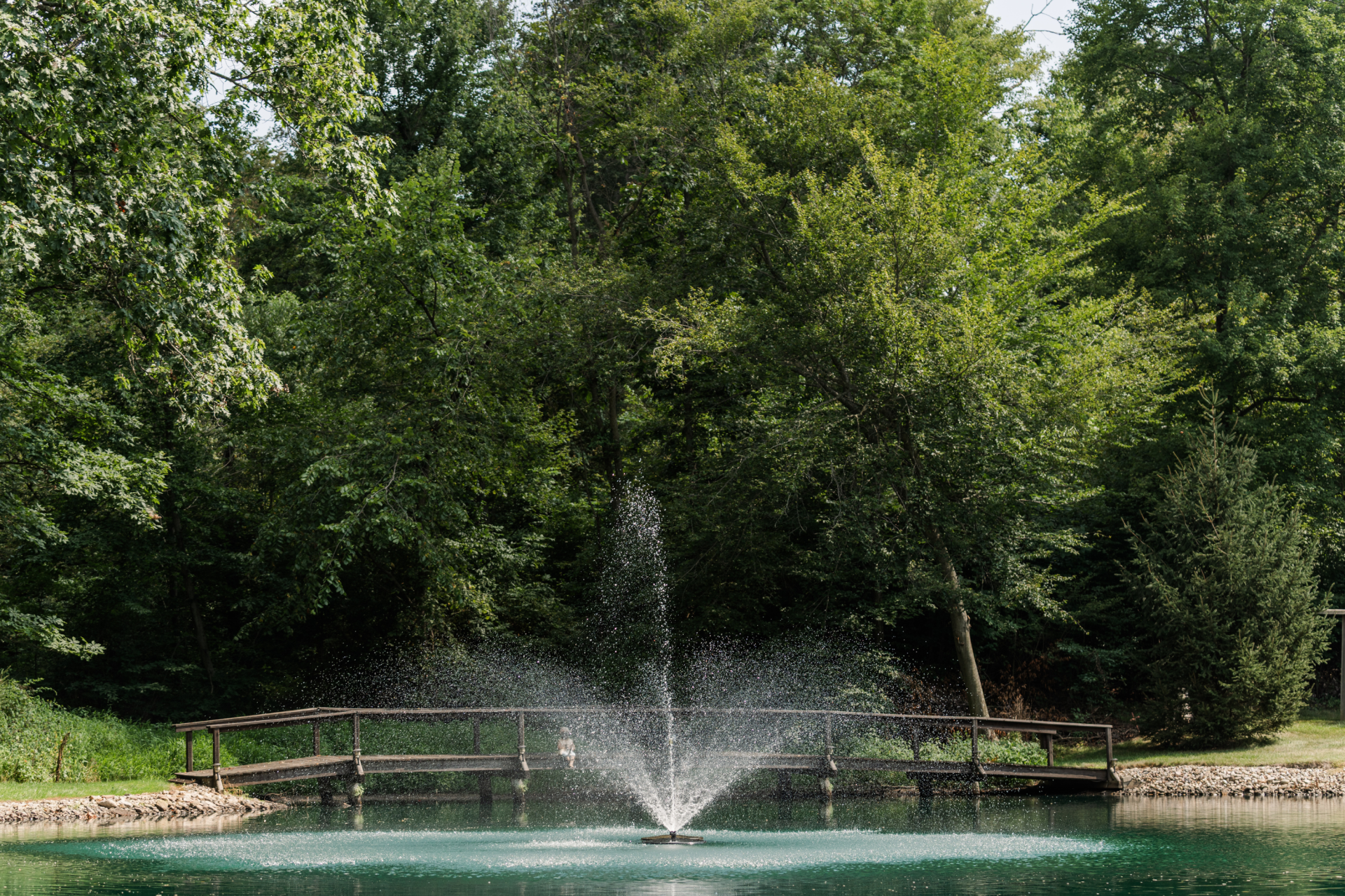 RHP 6026 Series Pond Fountain - Image 3