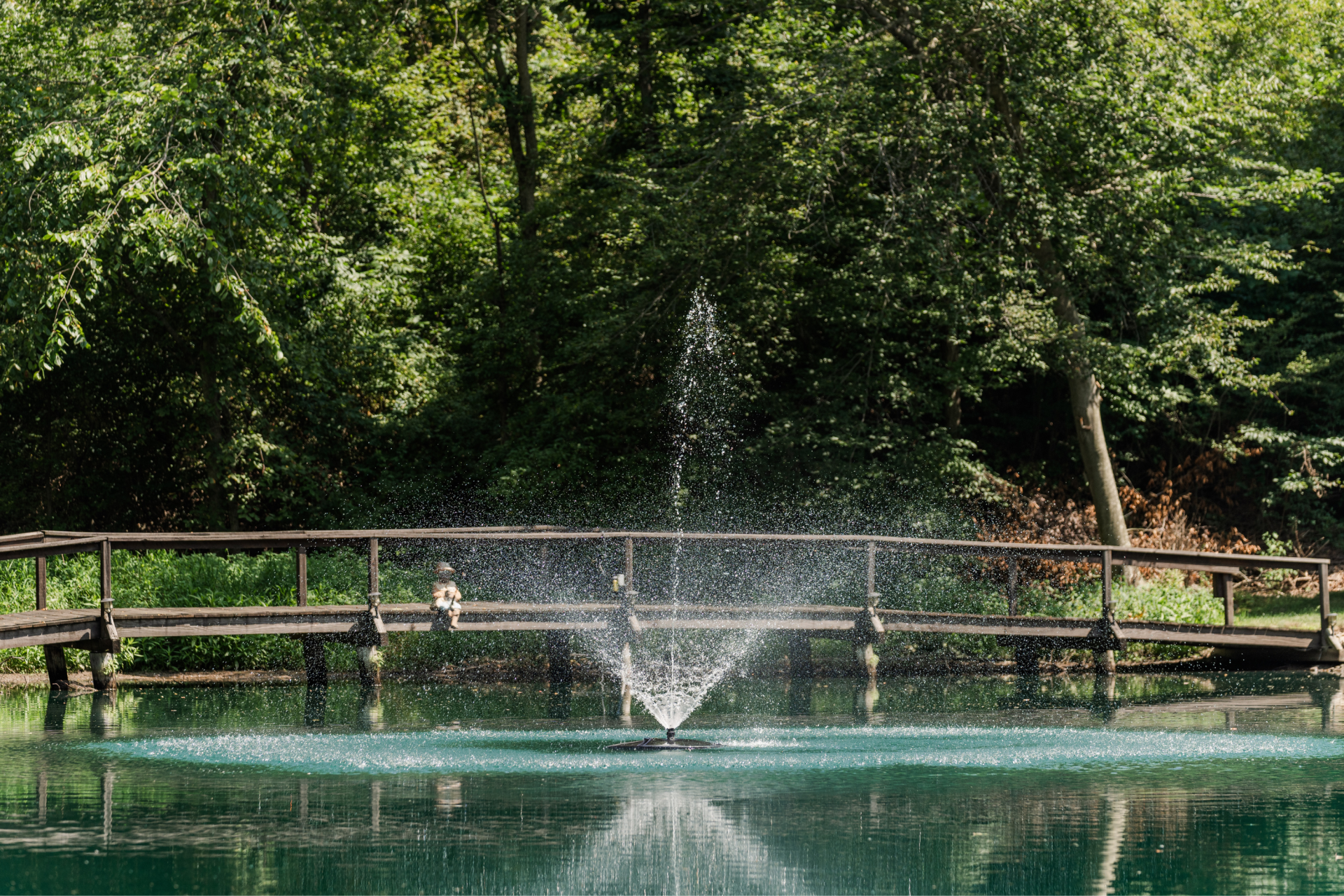 RHP 3826 Series Pond Fountain - Image 3