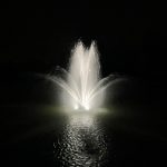 3826 Stream Trumpet Geyser