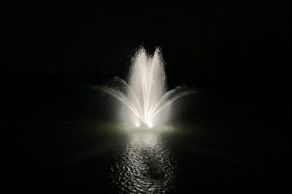 3826 Stream Trumpet Geyser