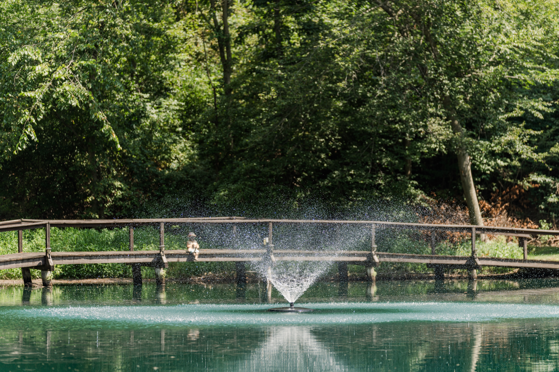 RHP 3826 Series Pond Fountain - Image 4