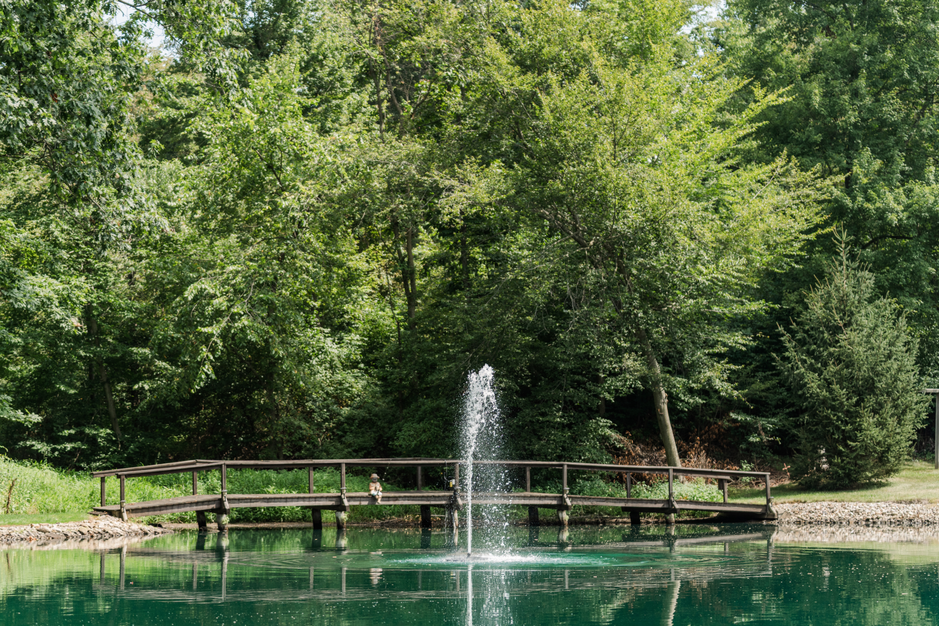 RHP 3826 Series Pond Fountain - Image 5