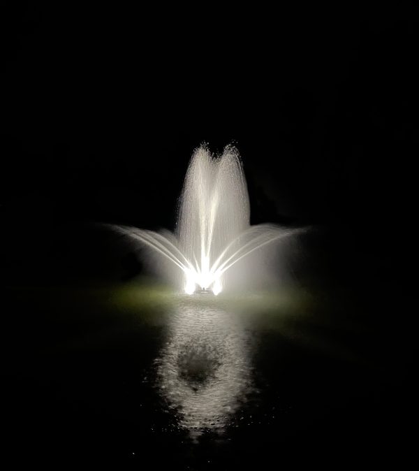6026 Stream Trumpet Geyser