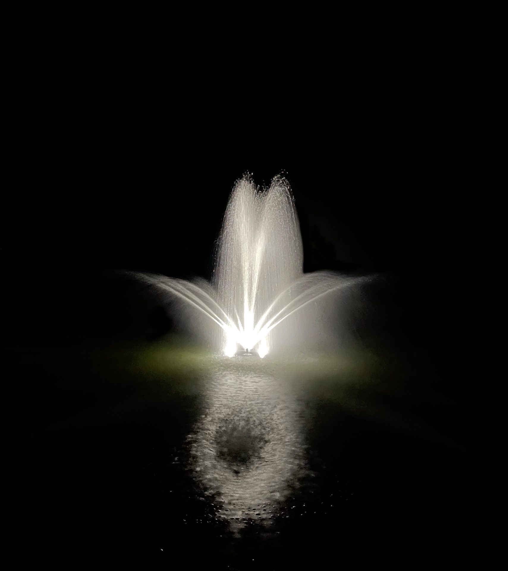 6026 Stream Trumpet Geyser