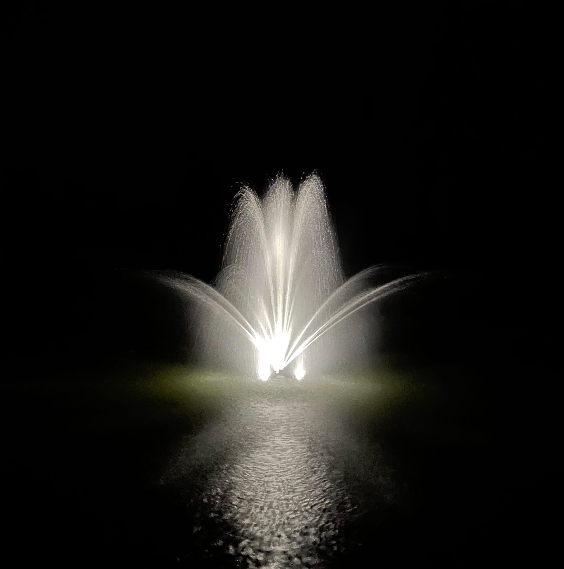 6626 Stream Trumpet Geyser