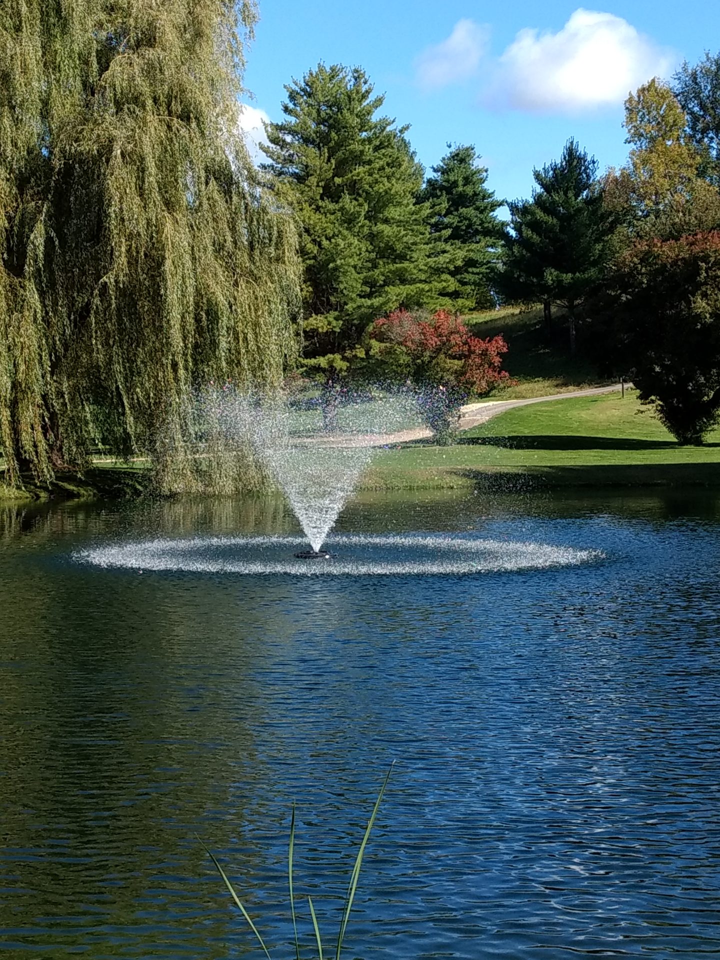 Kasco Model 4400JF Floating Pond Fountain (120v) - Image 6