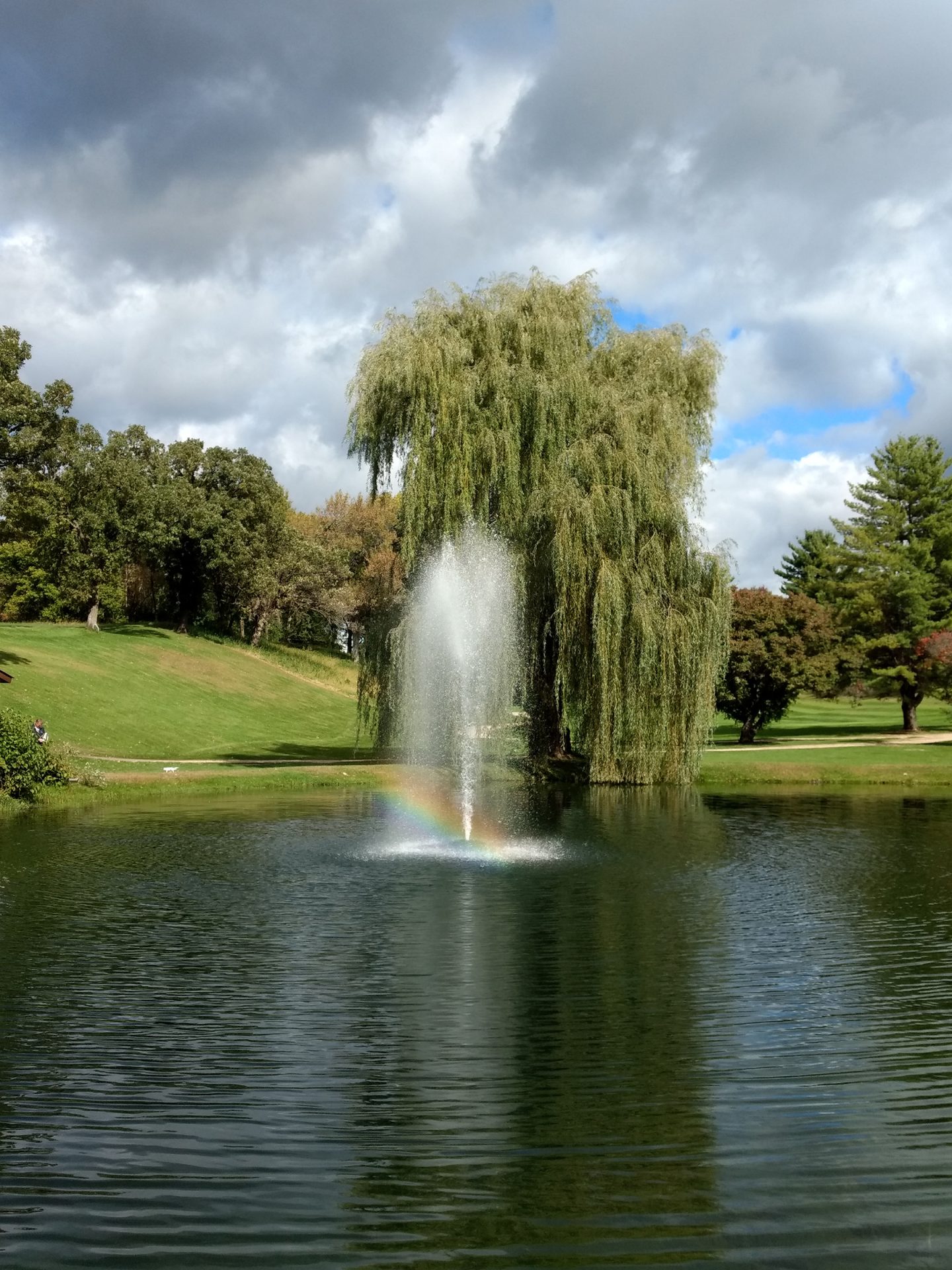 Kasco Model 4400JF Floating Pond Fountain (120v)