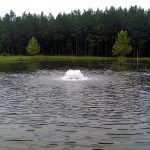 Kasco 2400AF 1/2 HP Surface Aerator