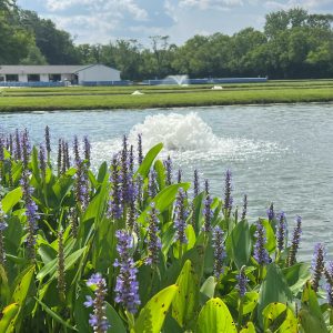 Kasco 3400HAF 3/4 HP Surface Aerator (240V)