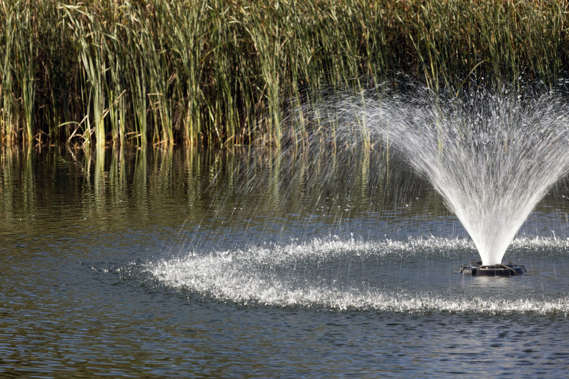 Kasco 3400VFX 3/4 HP Display Aerator With C-25 Control Panel (120V) - Image 2