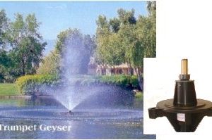 Trumpet Geyser Nozzle # 31198