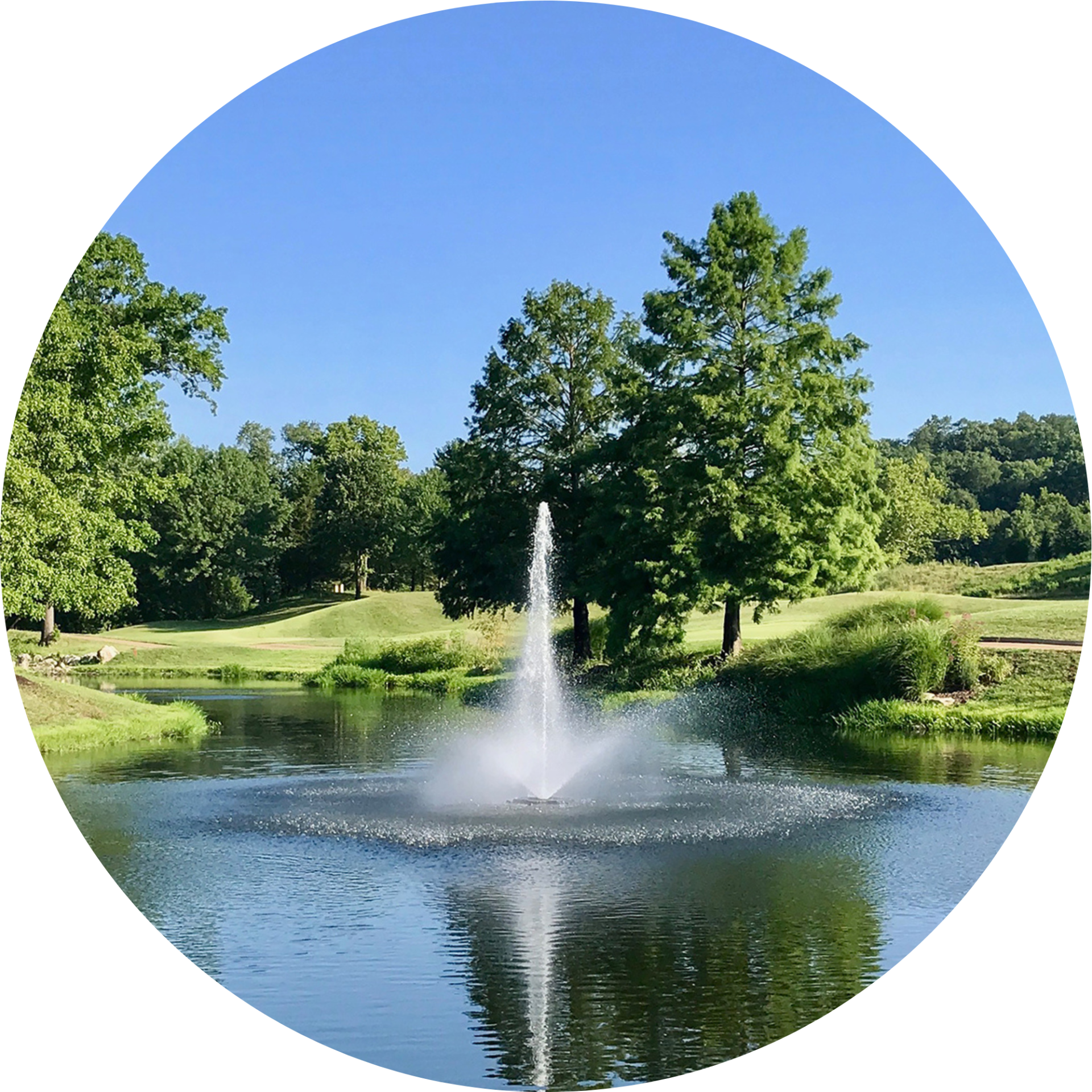 Kasco 3.1JF 3HP Decorative Fountain Linden Nozzle