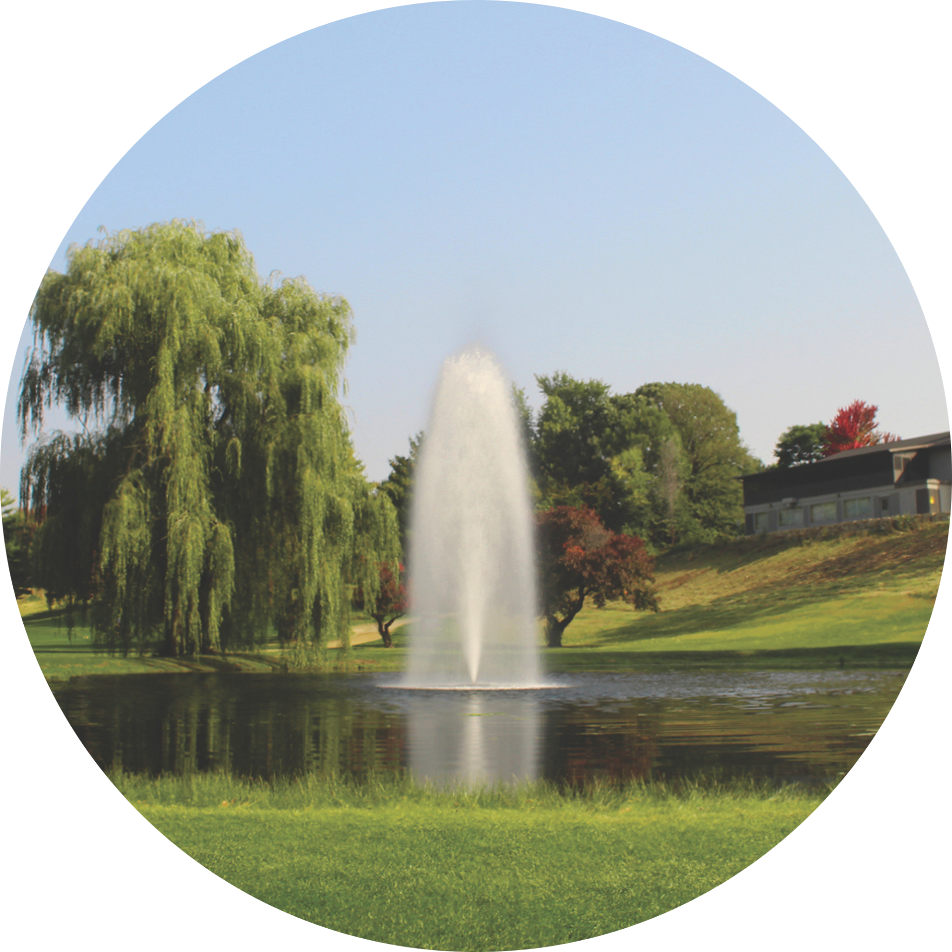 Kasco 5.1JF 5 HP Decorative Fountain Birch Nozzle