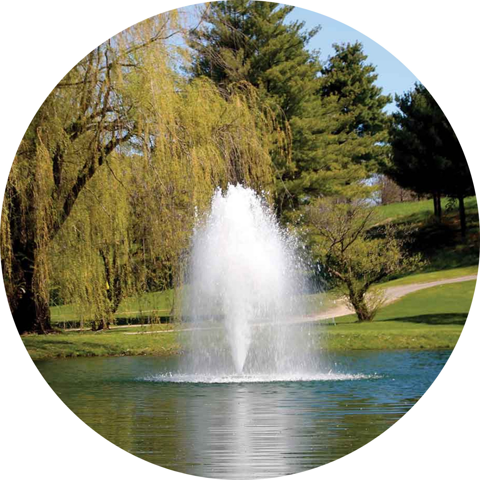 Kasco 8400JF 2 HP Decorative Fountain Birch Nozzle