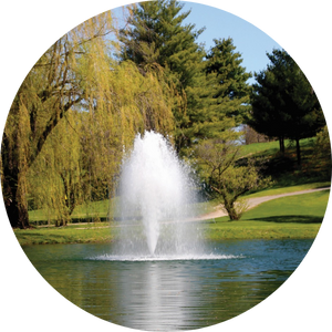 Kasco 4400JF/HJF 1HP Decorative Fountain Birch Nozzle