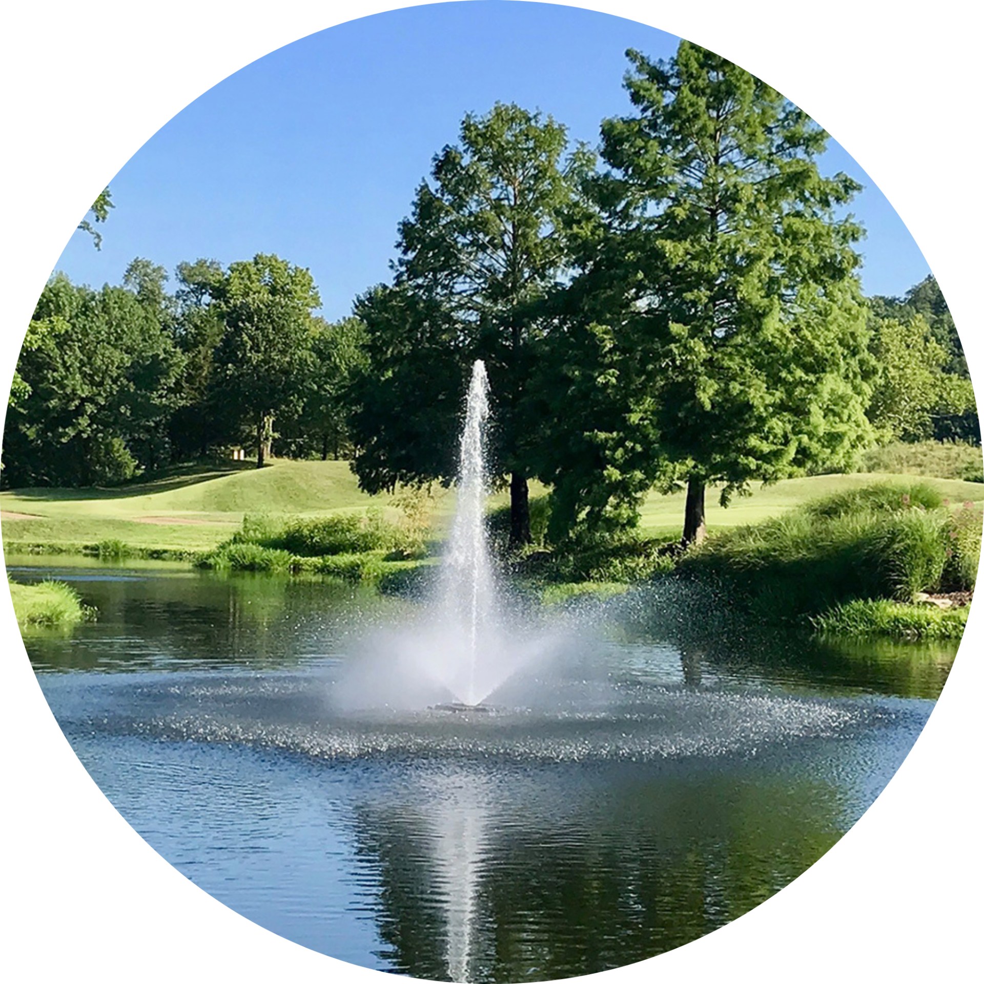Kasco 8400JF 2 HP Decorative Fountain Linden Nozzle