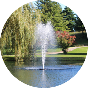 Kasco 4400JF/HJF 1HP Decorative Fountain Sequoia Nozzle