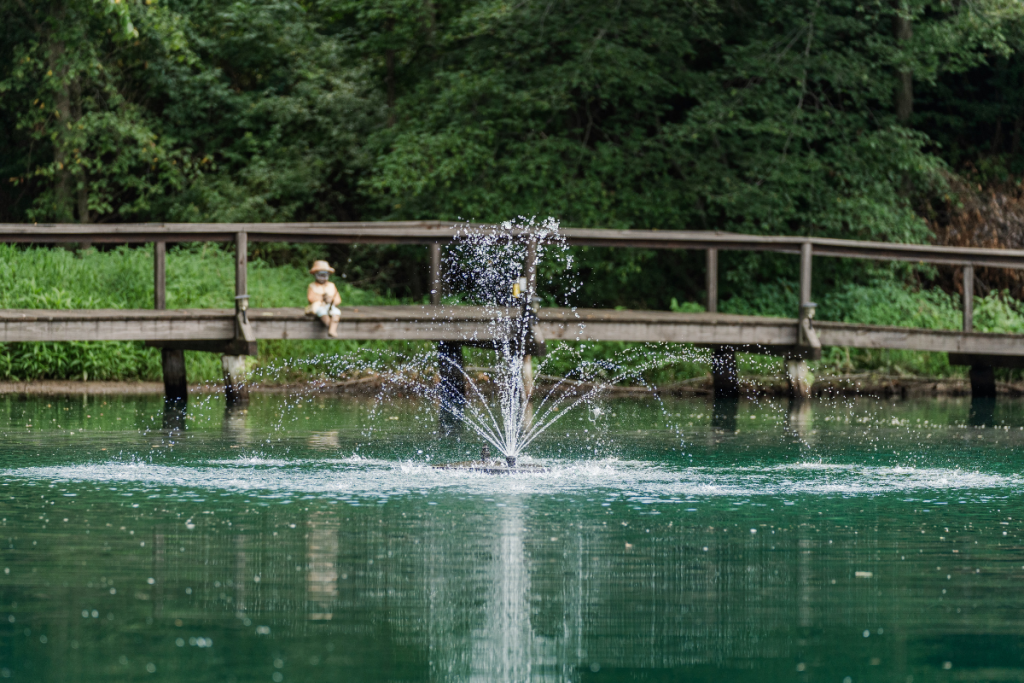 RHP Series 2618 fountain producing compact spray pattern in residential pond with wooden bridge in background.