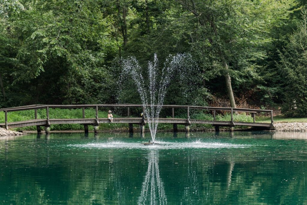RHP Series 3826 fountain producing medium-height spray pattern in residential pond near wooden footbridge.
