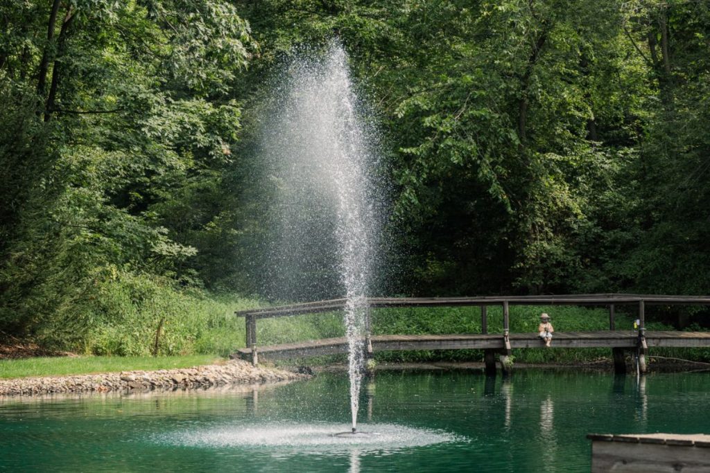 RHP Series 6026 fountain creating taller spray display in residential pond with wooded backdrop.