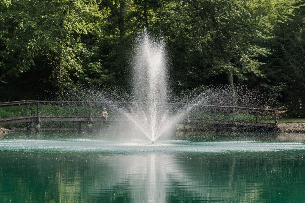 RHP Series 6626 fountain producing tall vertical spray with wide fan pattern in residential pond with bridge behind.