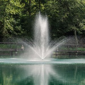 RHP 6626 3/4 HP Floating Pond Fountain Stream Trumpet Geyser Nozzle