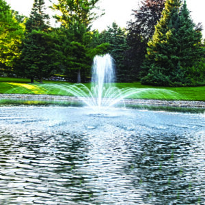 Airmax EcoSeries 1/2 HP Floating Pond Fountain