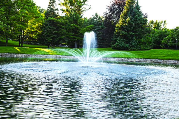 Airmax EcoSeries 1/2 HP Floating Pond Fountain