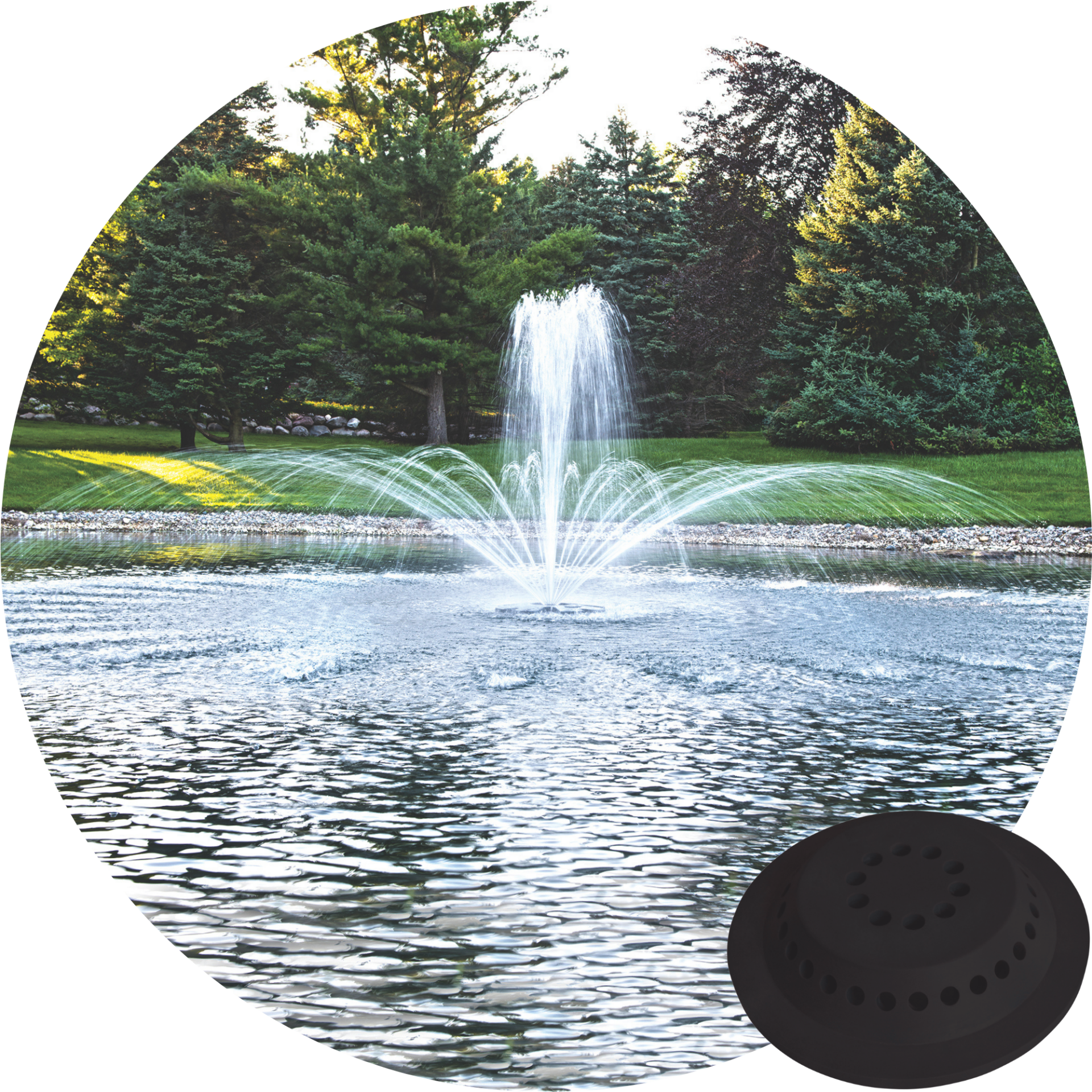 Airmax EcoSeries Crown and Trumpet spray pattern