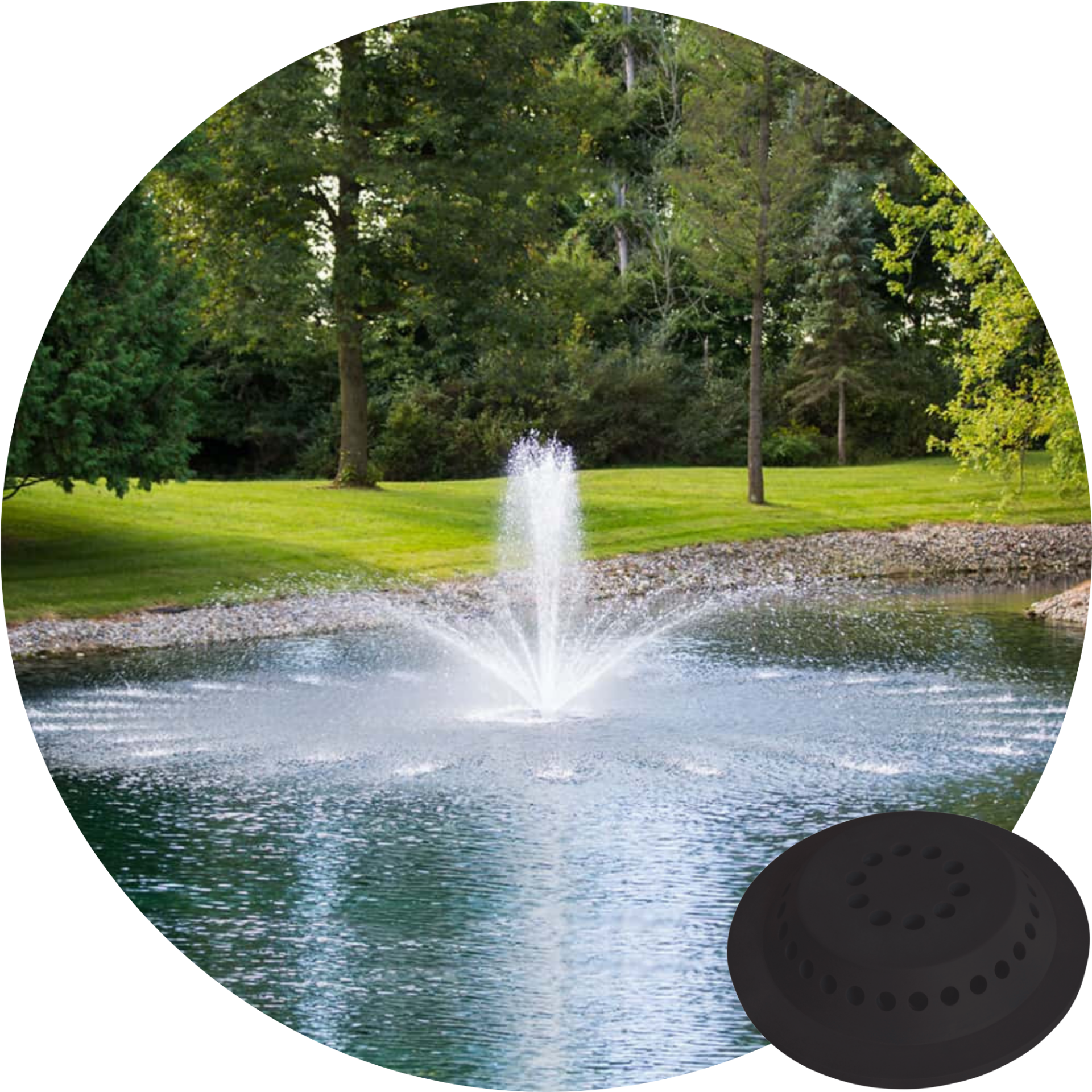 Airmax PondSeries 1/2 HP Crown and Trumpet spray pattern