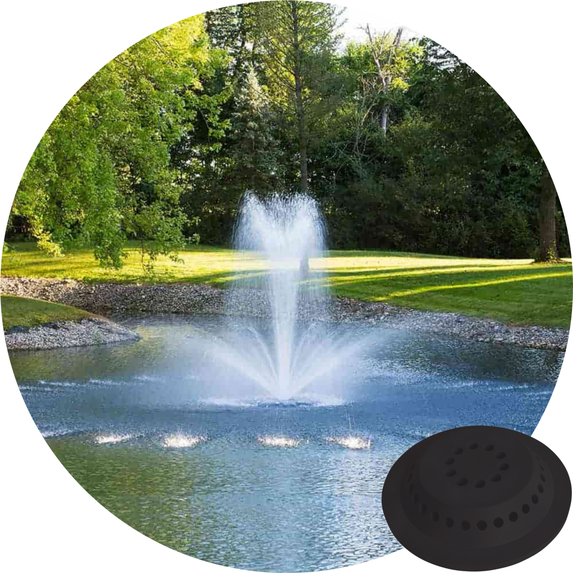 Airmax PondSeries 1 HP Crown and Trumpet spray pattern