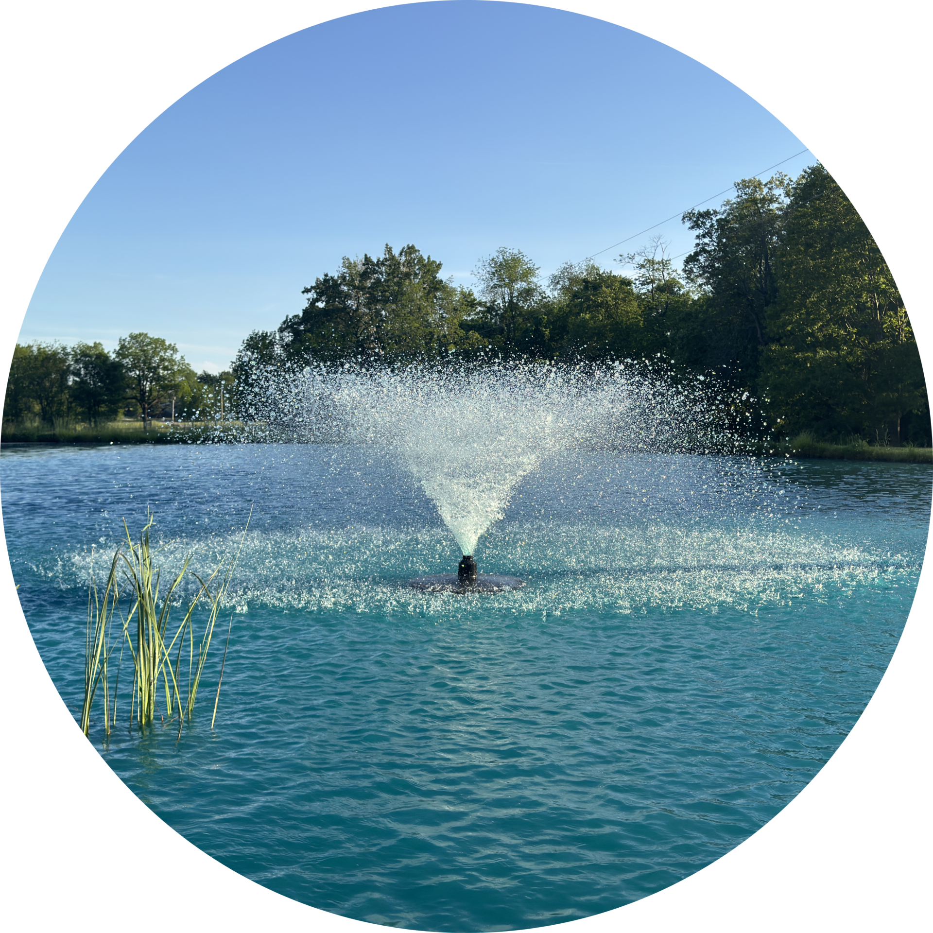 Economy Display Aerator V-shaped spray pattern with included nozzle