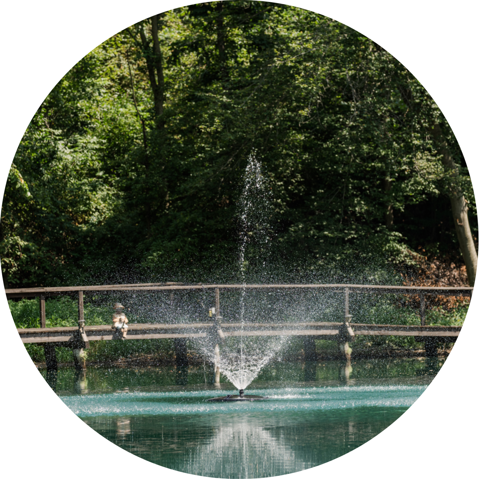 RHP 3826 Adjustable Trumpet Geyser fountain nozzle spray pattern
