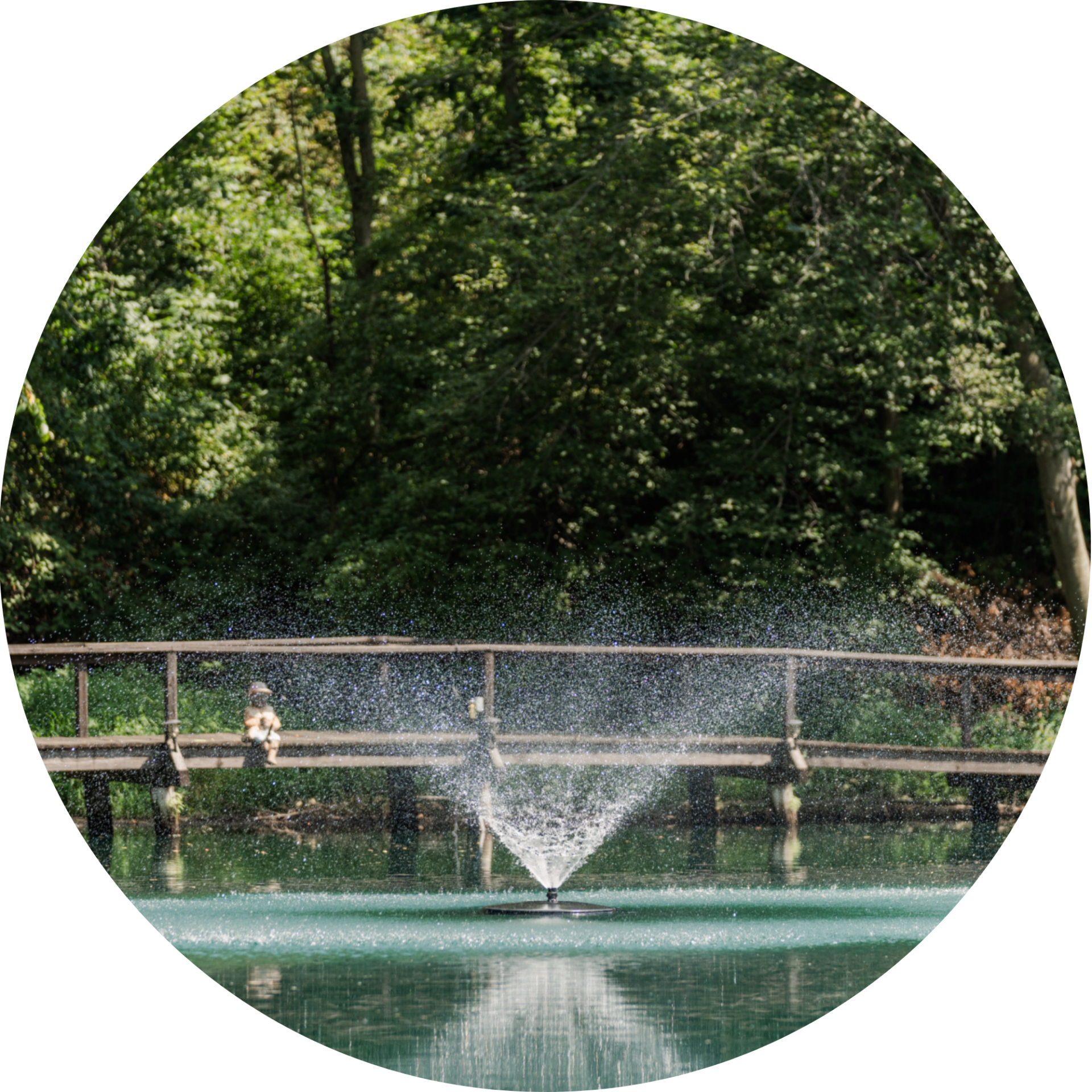 RHP 3826 Adjustable V fountain nozzle spray pattern