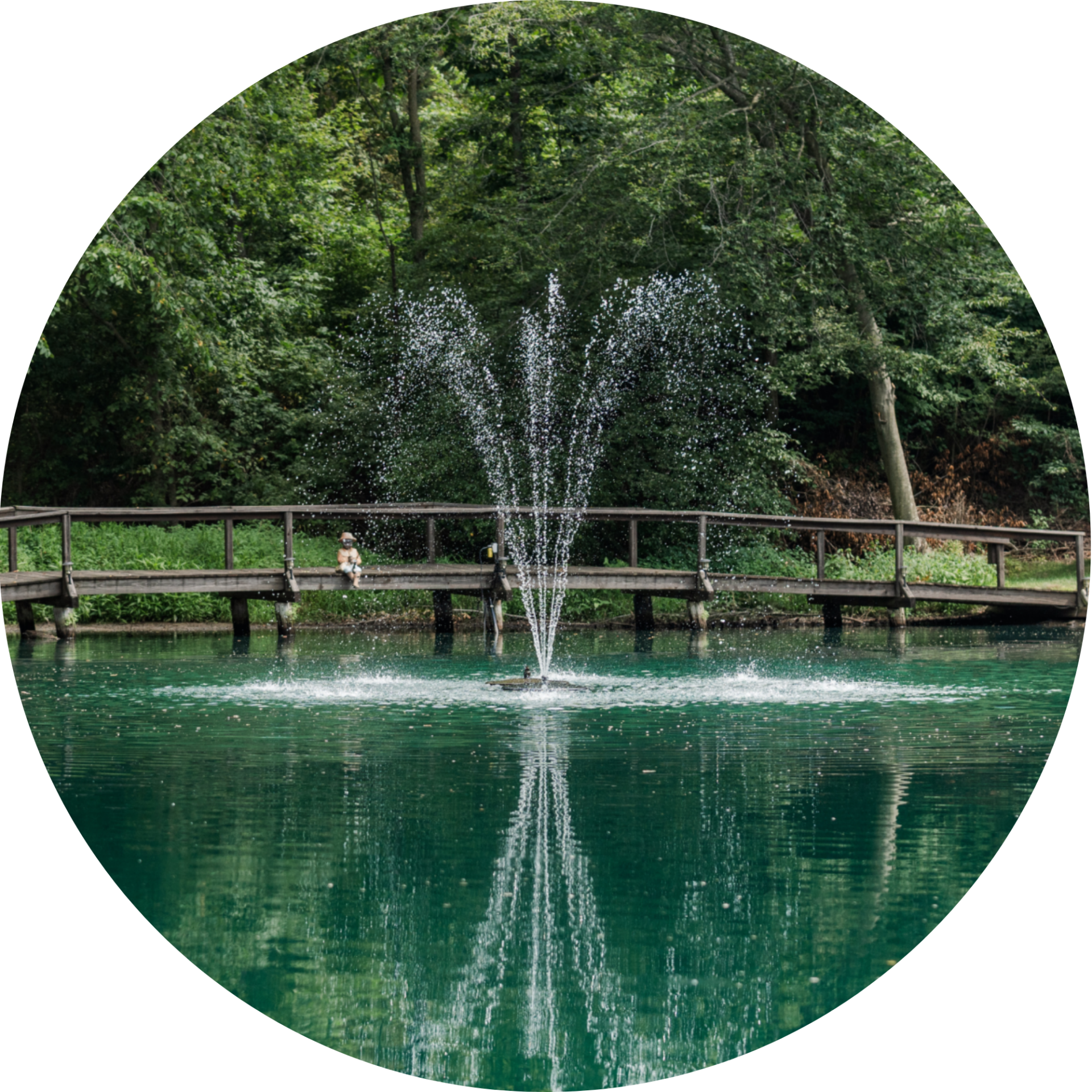 RHP 3826 Arch fountain nozzle spray pattern