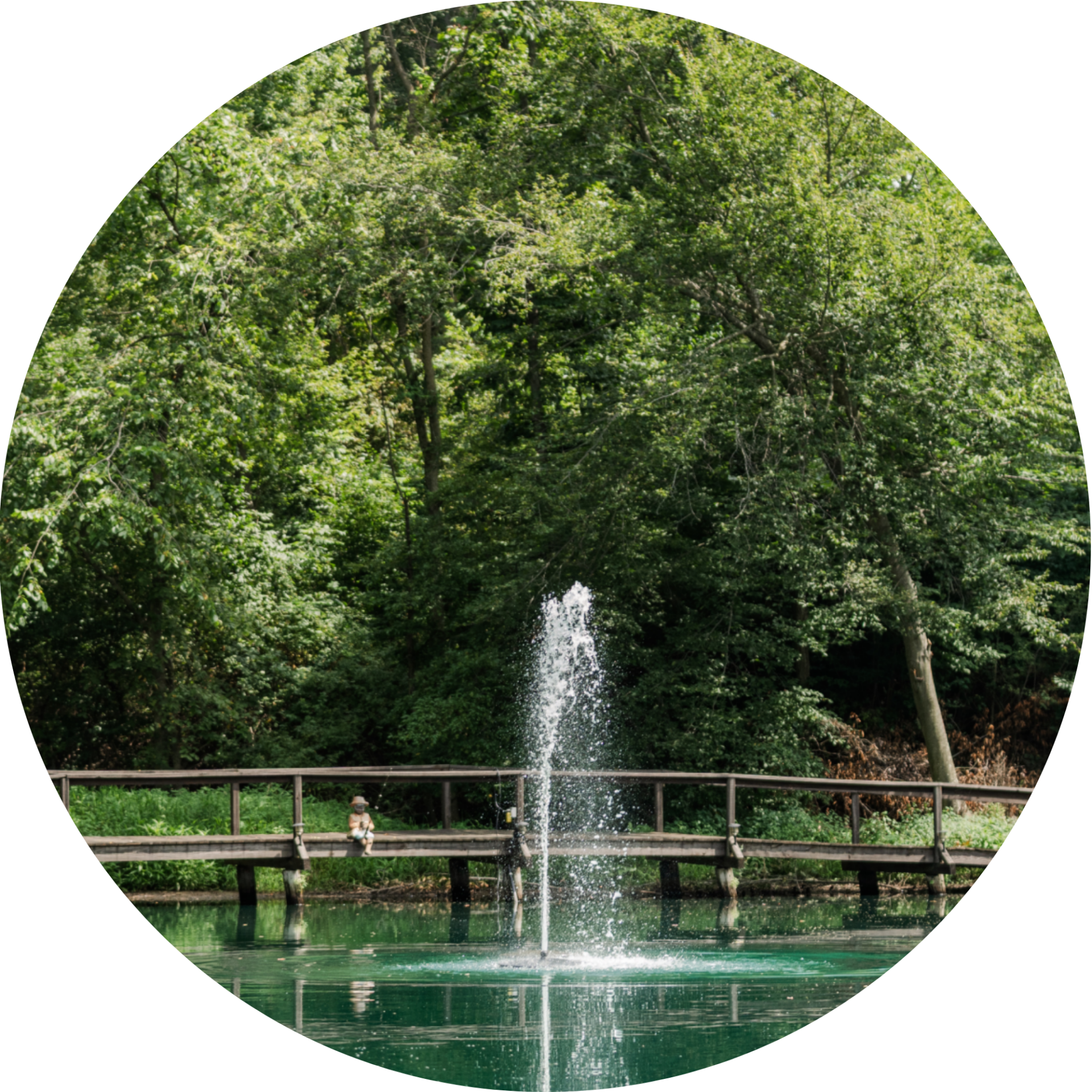 RHP 3826 Geyser fountain nozzle spray pattern
