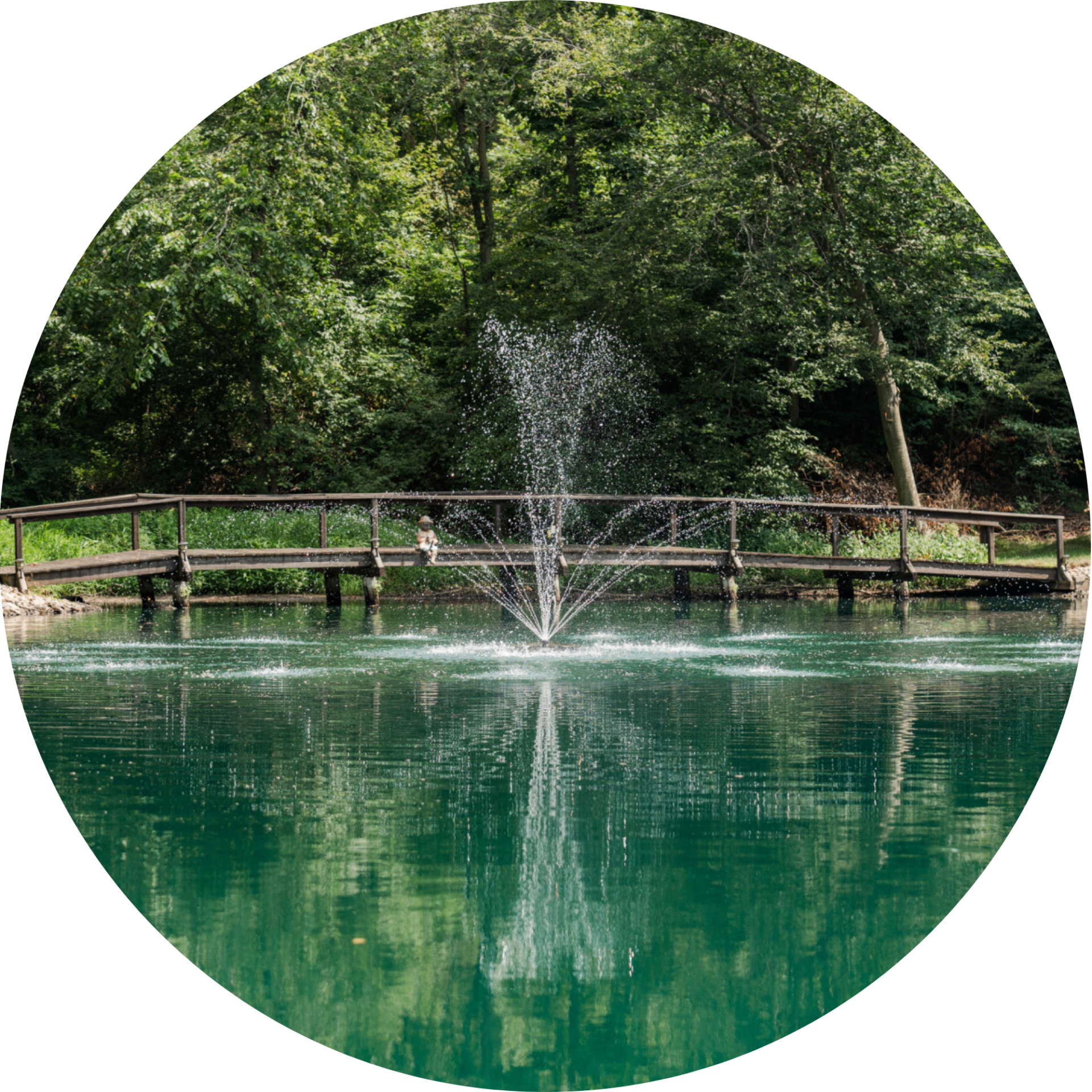 RHP 3826 Stream Trumpet Geyser fountain nozzle spray pattern