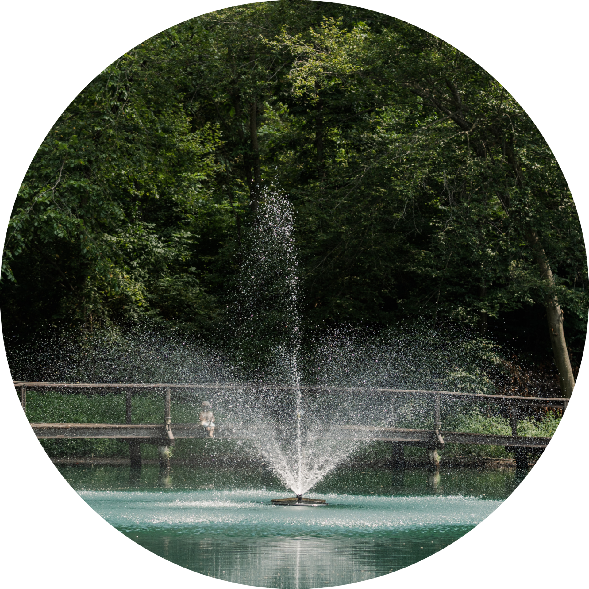 RHP 6026 Adjustable Trumpet Geyser fountain nozzle spray pattern