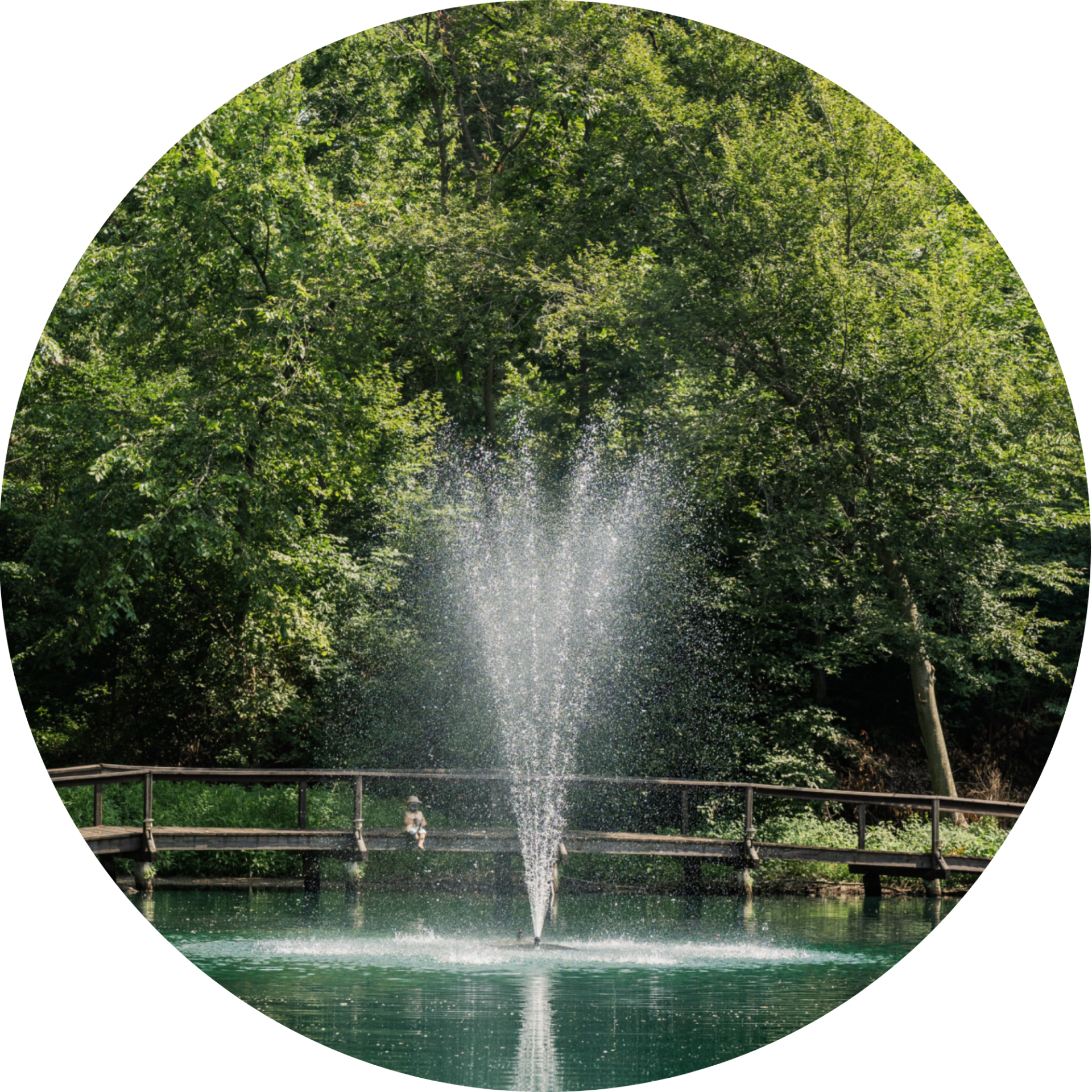 RHP 6026 Arch fountain nozzle spray pattern