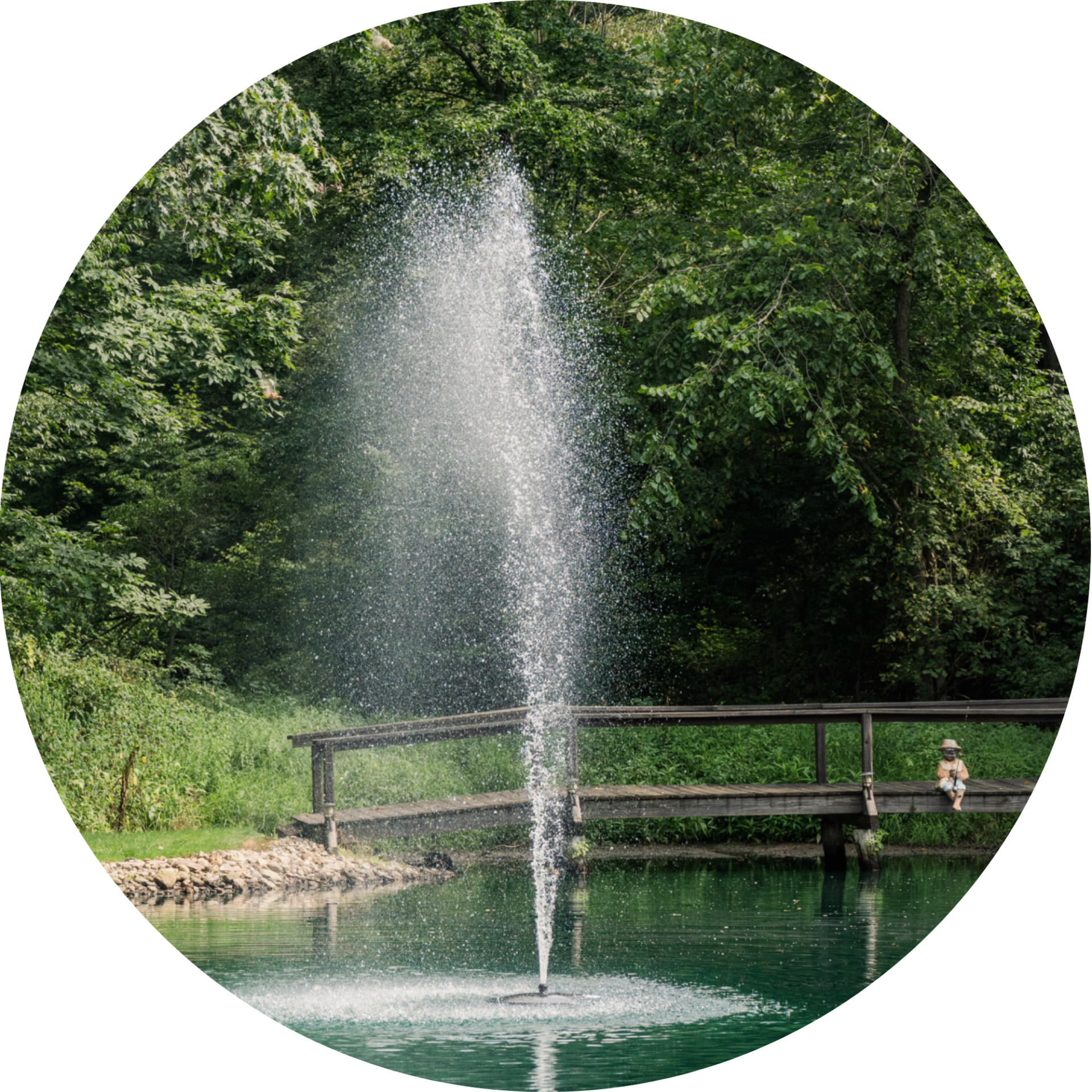 RHP 6026 Geyser fountain nozzle spray pattern
