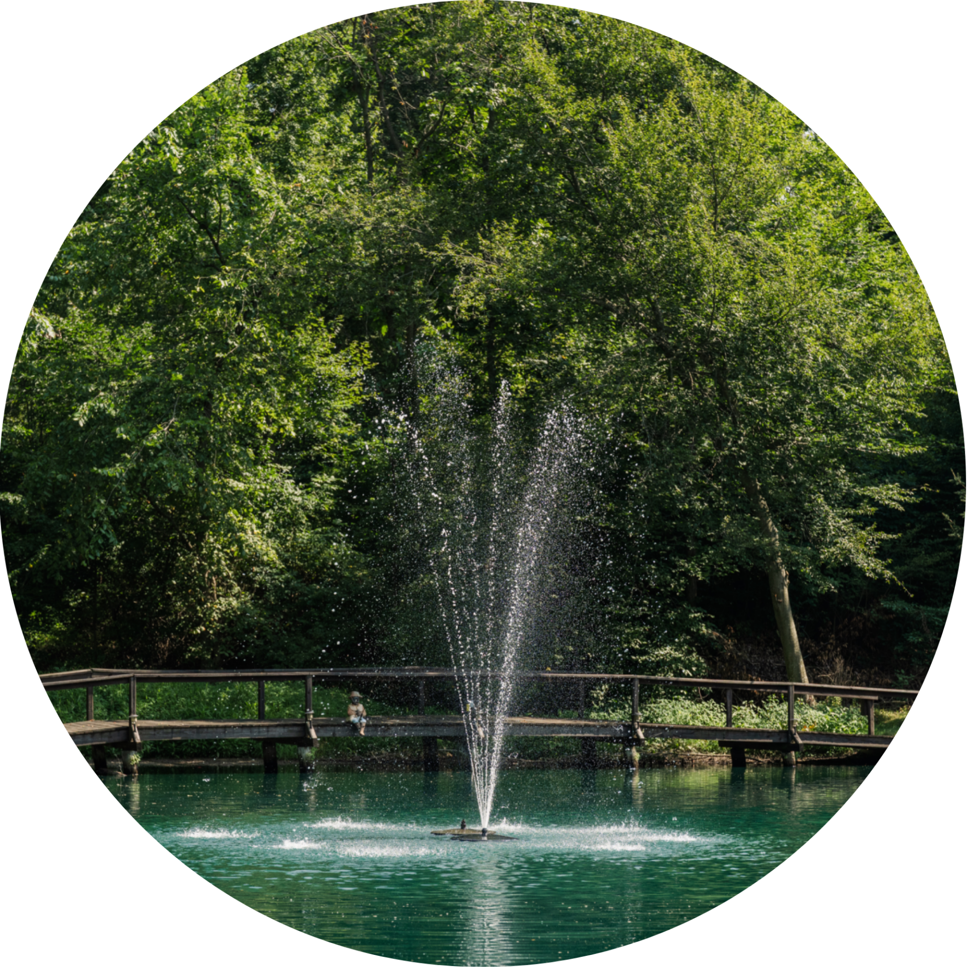 RHP 6026 Stream Arch fountain nozzle spray pattern