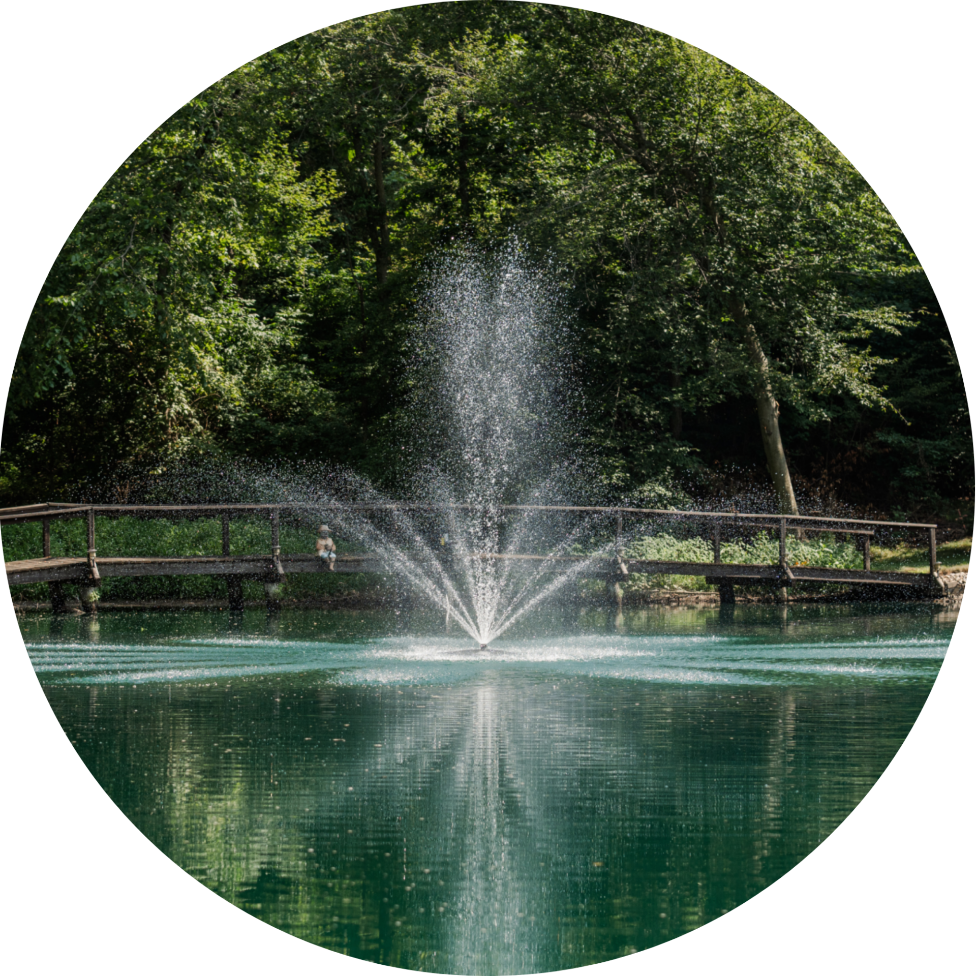 RHP 6026 Stream Trumpet Geyser fountain nozzle spray pattern