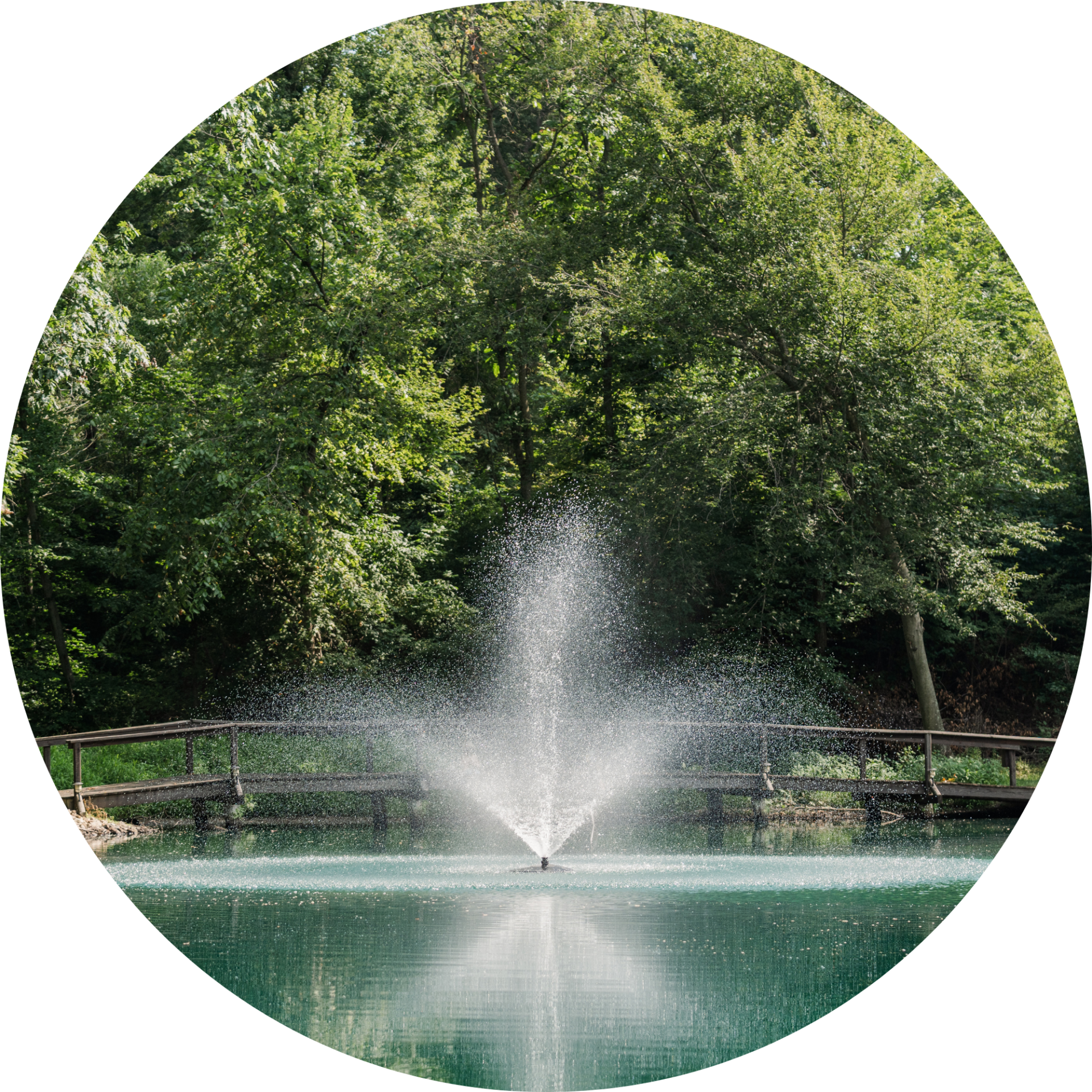 RHP 6626 Adjustable Trumpet Geyser fountain nozzle spray pattern