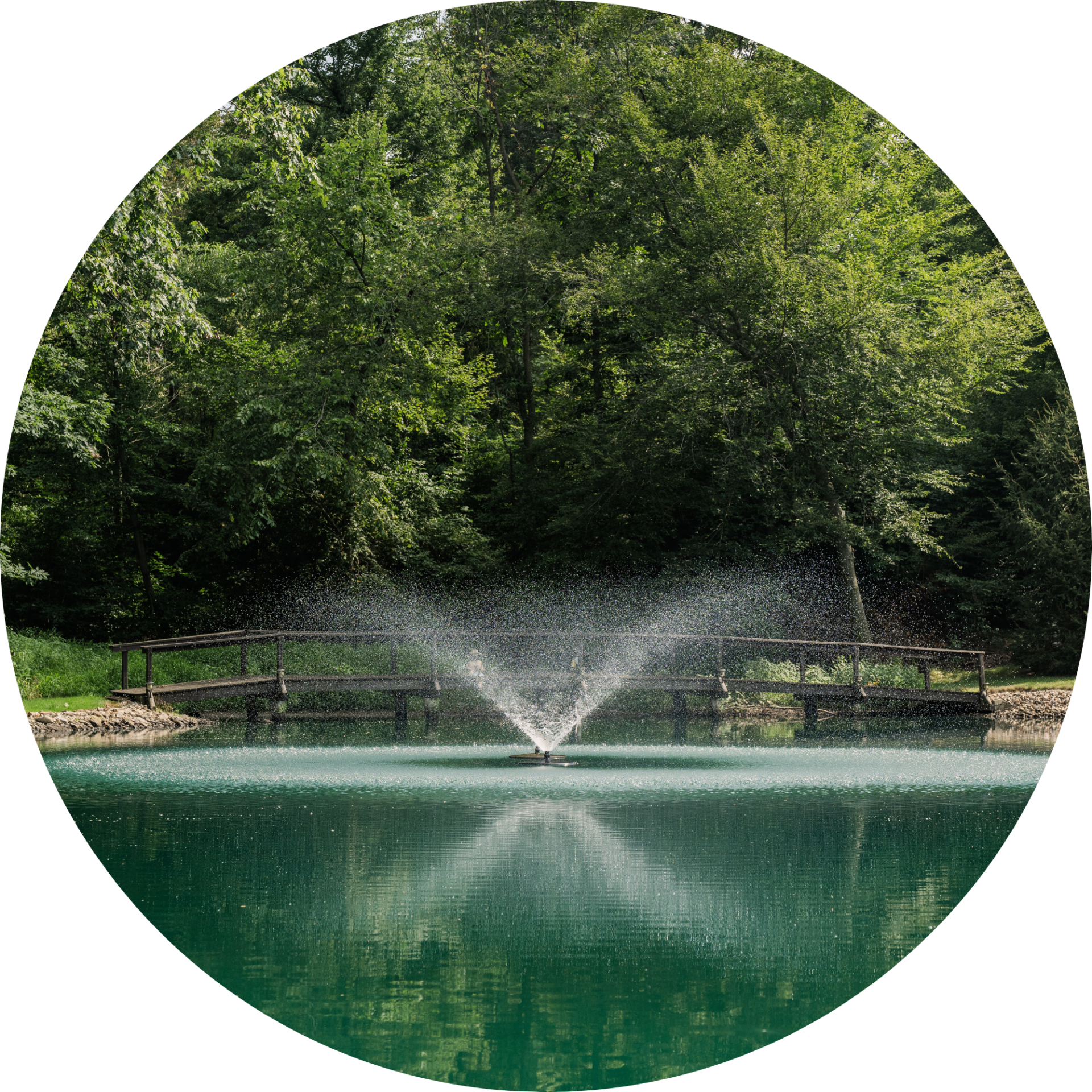 RHP 6626 Adjustable V fountain nozzle spray pattern