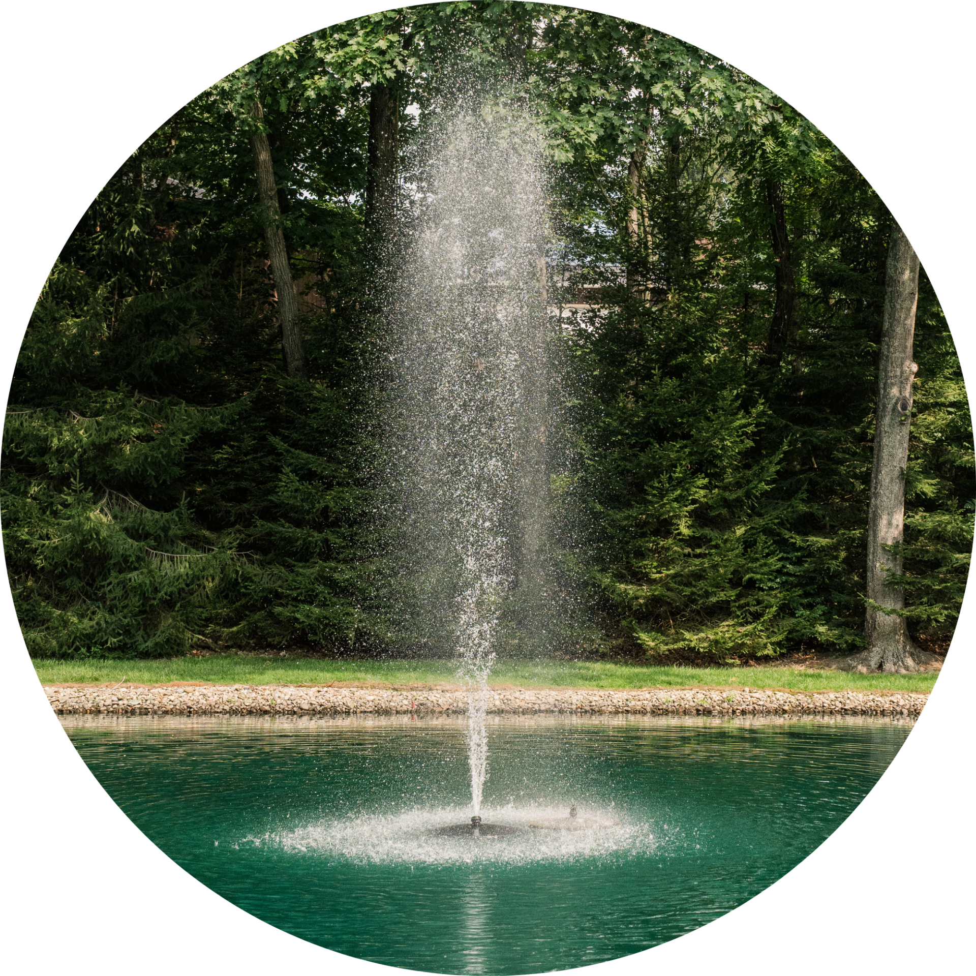 RHP 6626 Geyser fountain nozzle spray pattern
