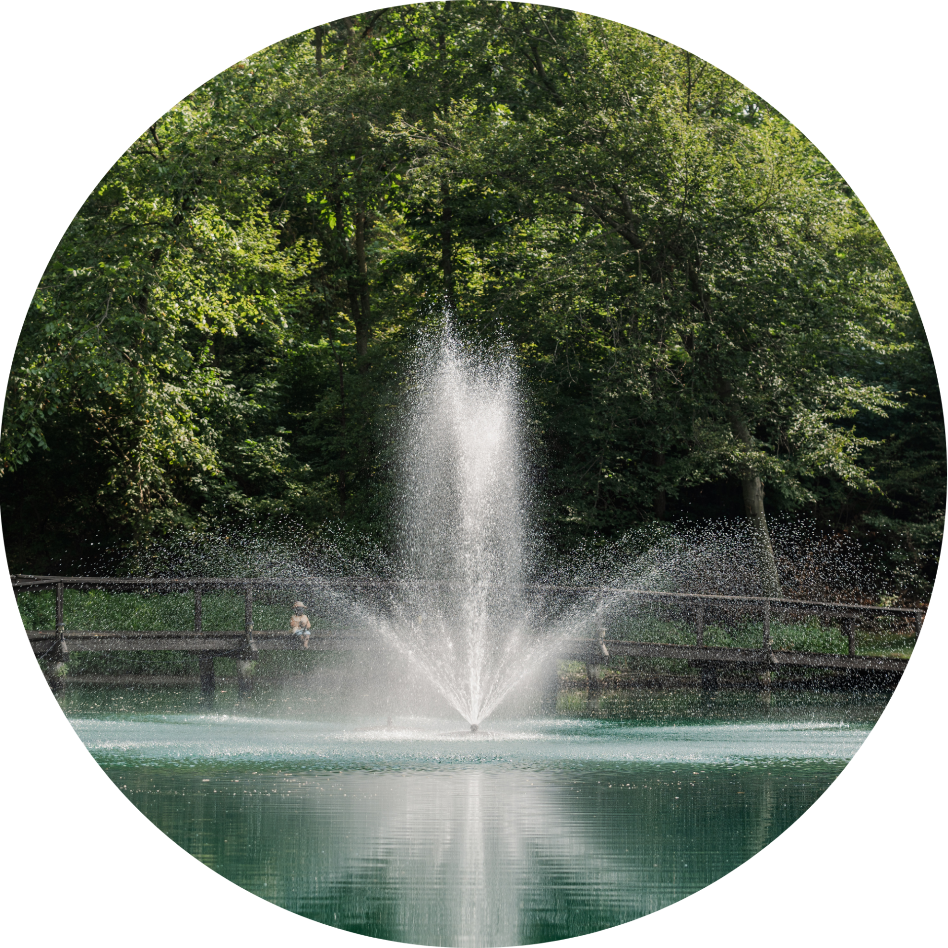 RHP 6626 Stream Trumpet Geyser fountain nozzle spray pattern